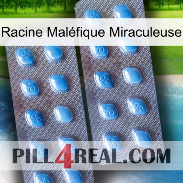 Racine Maléfique Miraculeuse viagra4